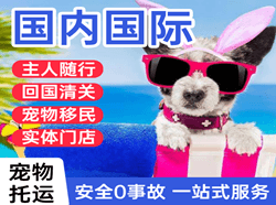 连云港花果山航空邮寄国际宠物托运 【国